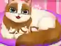 Cute Kitty Pregnant เกมออนไลน์