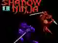 Shadow of the Ninja เกมออนไลน์