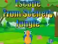 Escape from Scenery Jungle เกมออนไลน์