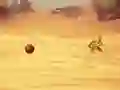 Monkey Shooting เกมออนไลน์