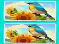 Spot the Difference The Garden เกมออนไลน์
