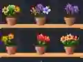 Good Flower Master เกมออนไลน์
