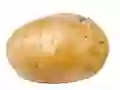 Potato เกมออนไลน์