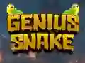 Genius Snake เกมออนไลน์