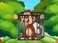 Free the Captive Ape เกมออนไลน์
