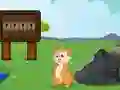 Rescue the Squirrel from Stone เกมออนไลน์