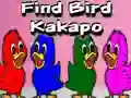 Find Bird Kakapo เกมออนไลน์
