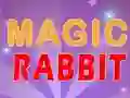 Magic Rabbit เกมออนไลน์