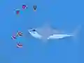 Oceans Shees เกมออนไลน์
