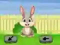 Springtime Escape เกมออนไลน์