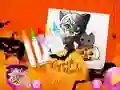 Chibi Sup Coloring เกมออนไลน์