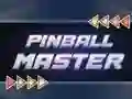 Pinball Master เกมออนไลน์