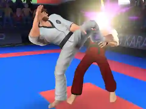 Karate Fighter เกมออนไลน์