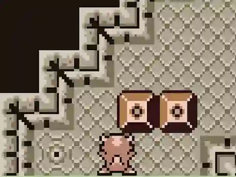 Sokoban Dragon เกมออนไลน์