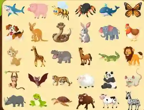 Discover Animals เกมออนไลน์