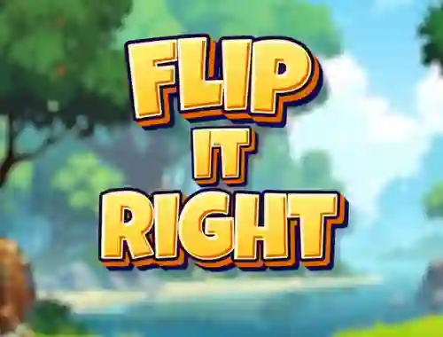 Flip It Right เกมออนไลน์