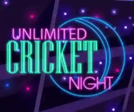 Unlimited Cricket Night เกมออนไลน์