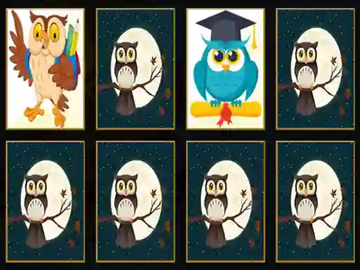 Cute Owl Memory เกมออนไลน์