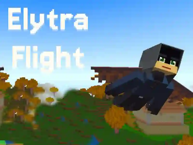Elytra Flight เกมออนไลน์