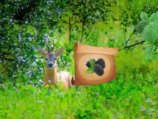 Return To Alsunga Forest เกมออนไลน์