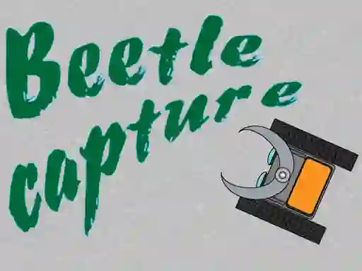 Beetle Capture เกมออนไลน์