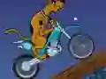 Scooby Doo Trail เกมออนไลน์