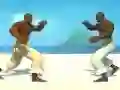 Capoeira fighter เกมออนไลน์
