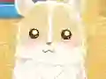 Hamster Love เกมออนไลน์
