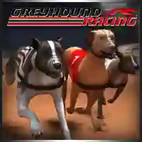 Greyhound Racing เกมออนไลน์