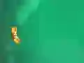 Anti Body เกมออนไลน์