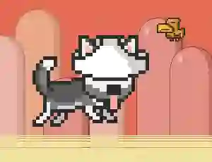 Mr Jump Husky เกมออนไลน์