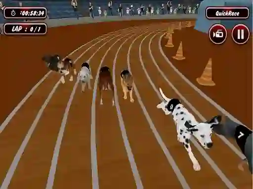Crazyl Dog Racing Fever เกมออนไลน์