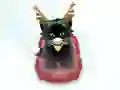 Pet Sledding เกมออนไลน์