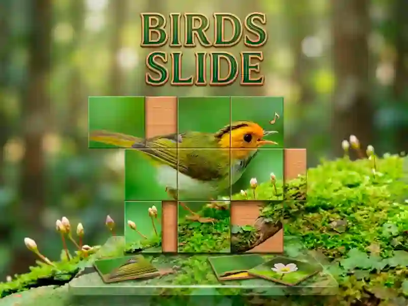 Birds Slide เกมออนไลน์