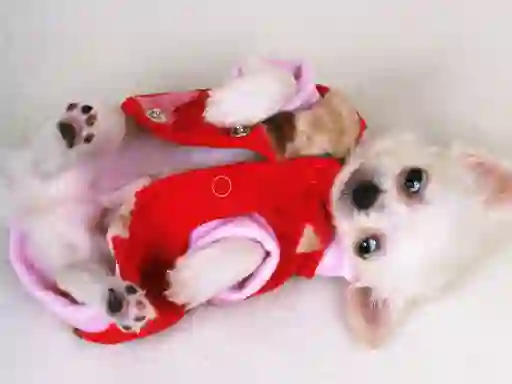 Lovely Puppy Slide เกมออนไลน์