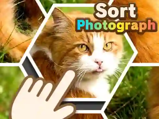 Sort Photograph เกมออนไลน์
