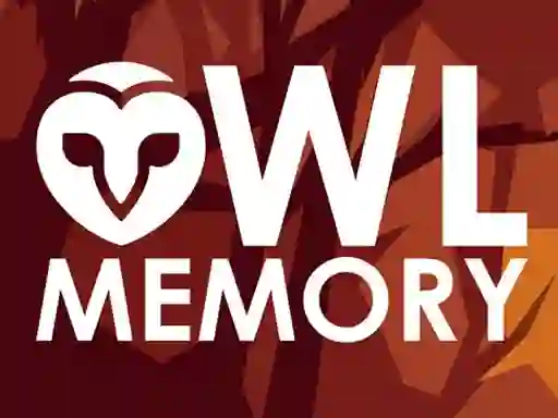 Owl Memory เกมออนไลน์