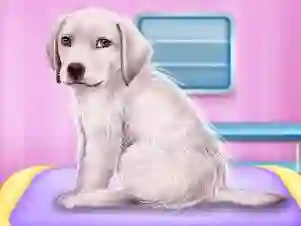 Labrador at the doctor salon เกมออนไลน์