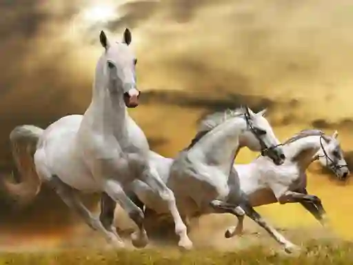 Running Horse Slide เกมออนไลน์
