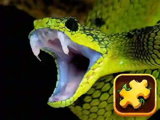 Snake Puzzle Challenge เกมออนไลน์