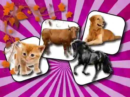 Domestic Animal Memory Challenge เกมออนไลน์