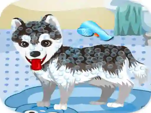 My Cute Dog Bathing เกมออนไลน์