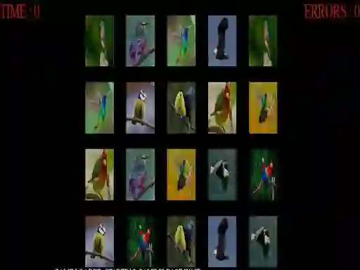 Memorize the birds เกมออนไลน์