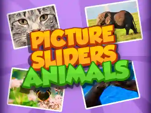 Picture Slider Animals เกมออนไลน์