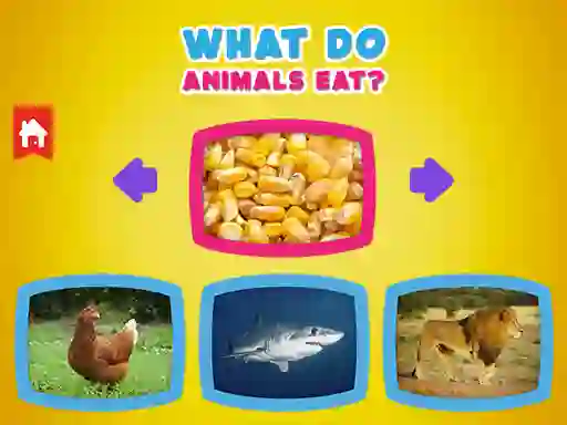 What Do Animals Eat? เกมออนไลน์