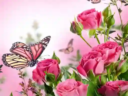 Butterflies Puzzle เกมออนไลน์