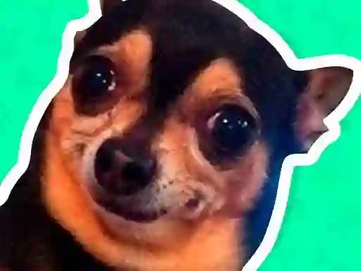 What meme dog are you ? เกมออนไลน์