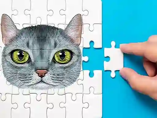 Abyssinian Puzzle Challenge เกมออนไลน์