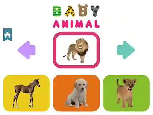 Baby Animal เกมออนไลน์
