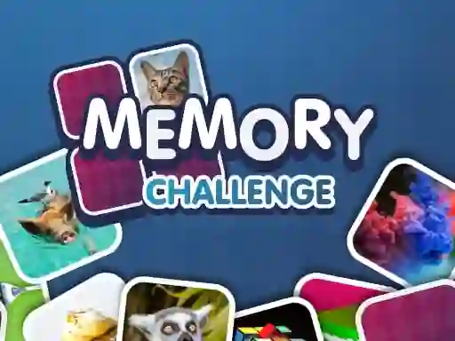 Memory Challenge เกมออนไลน์